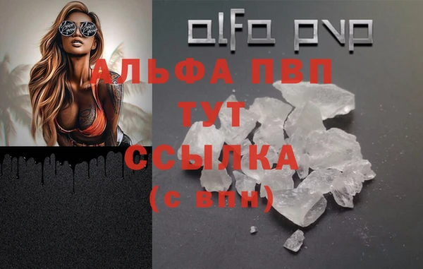 spice Снежинск